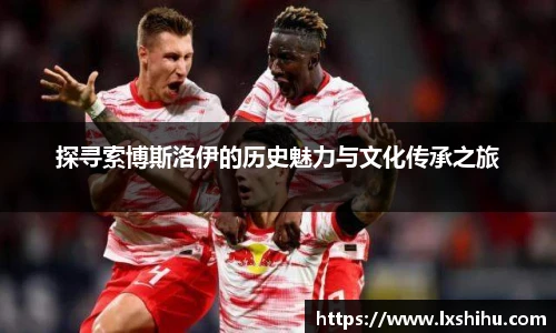 探寻索博斯洛伊的历史魅力与文化传承之旅